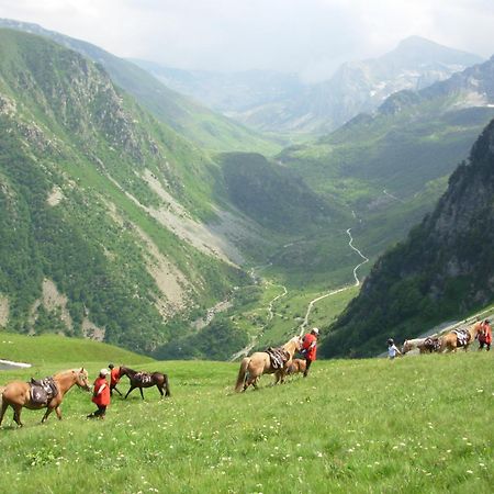Agriturismo Bio-Ecologico Sant'Isidoro Roccaforte Mondovì Εξωτερικό φωτογραφία