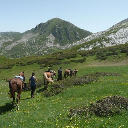 Agriturismo Bio-Ecologico Sant'Isidoro Roccaforte Mondovì Εξωτερικό φωτογραφία