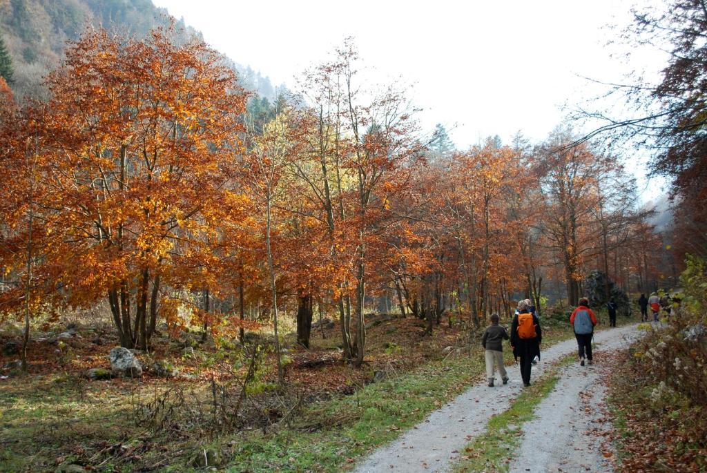 Agriturismo Bio-Ecologico Sant'Isidoro Roccaforte Mondovì Εξωτερικό φωτογραφία