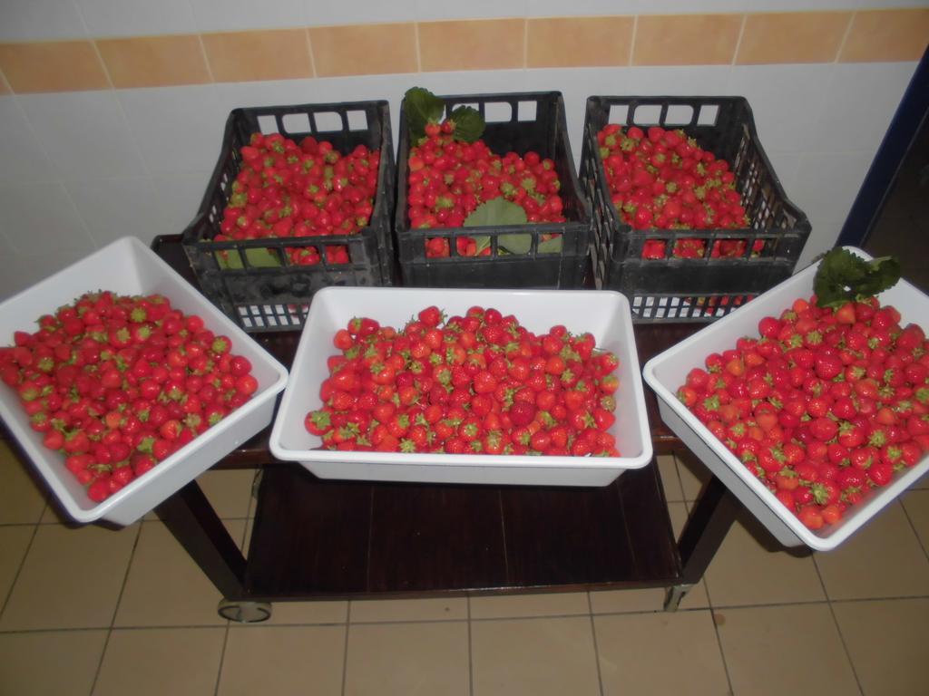 Agriturismo Bio-Ecologico Sant'Isidoro Roccaforte Mondovì Εξωτερικό φωτογραφία