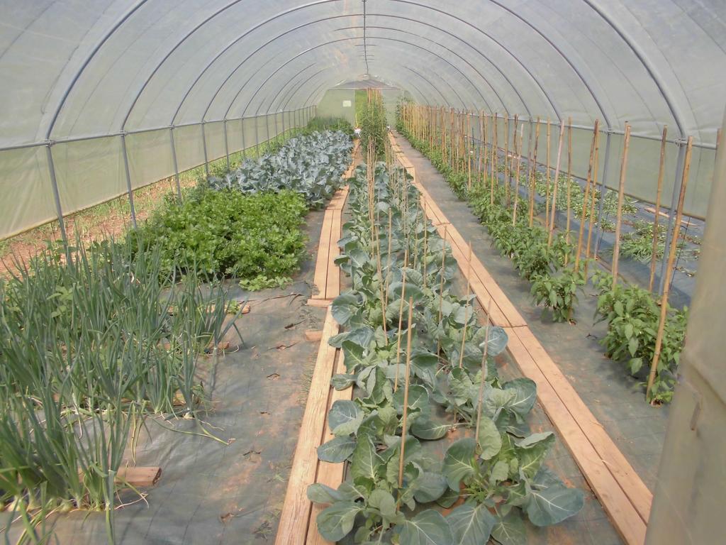 Agriturismo Bio-Ecologico Sant'Isidoro Roccaforte Mondovì Εξωτερικό φωτογραφία